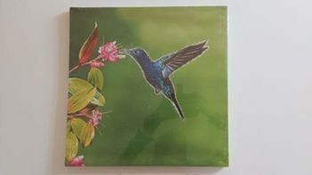 Tableau oiseau avec paillettes