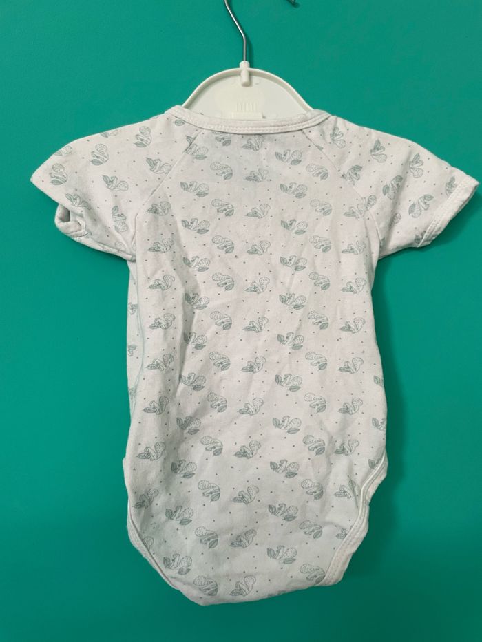 Lot de 3 bodies manches courtes Vertbaudet, Orchestra 3 mois - photo numéro 3