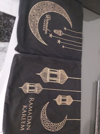 2 housses de coussins