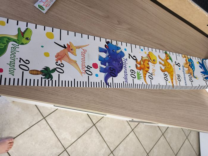 Toise Dinosaures - photo numéro 2