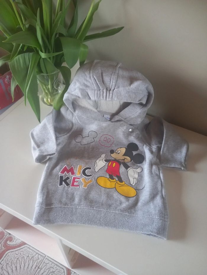 Pull à capuche disney 24 mois