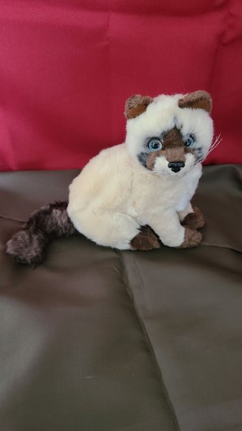 peluche chat siamois gipsy