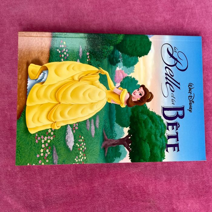 4 livres de  Disney  princesse  avec le coffret . - photo numéro 4