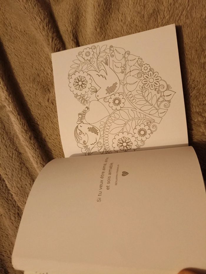 Petit livre à colorier - photo numéro 3