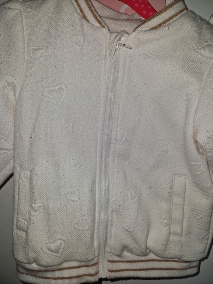 Vete 24 mois - photo numéro 2