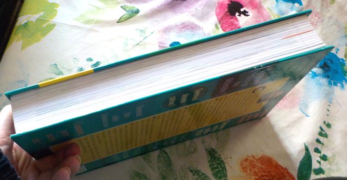 LE GRAND LIVRE DE REPONSE A TOUT 1997 - photo numéro 4