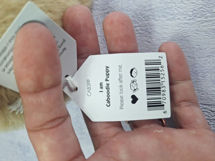 Peluche Jellycat chiot retired Caboodle Puppy CAB3PP - photo numéro 3