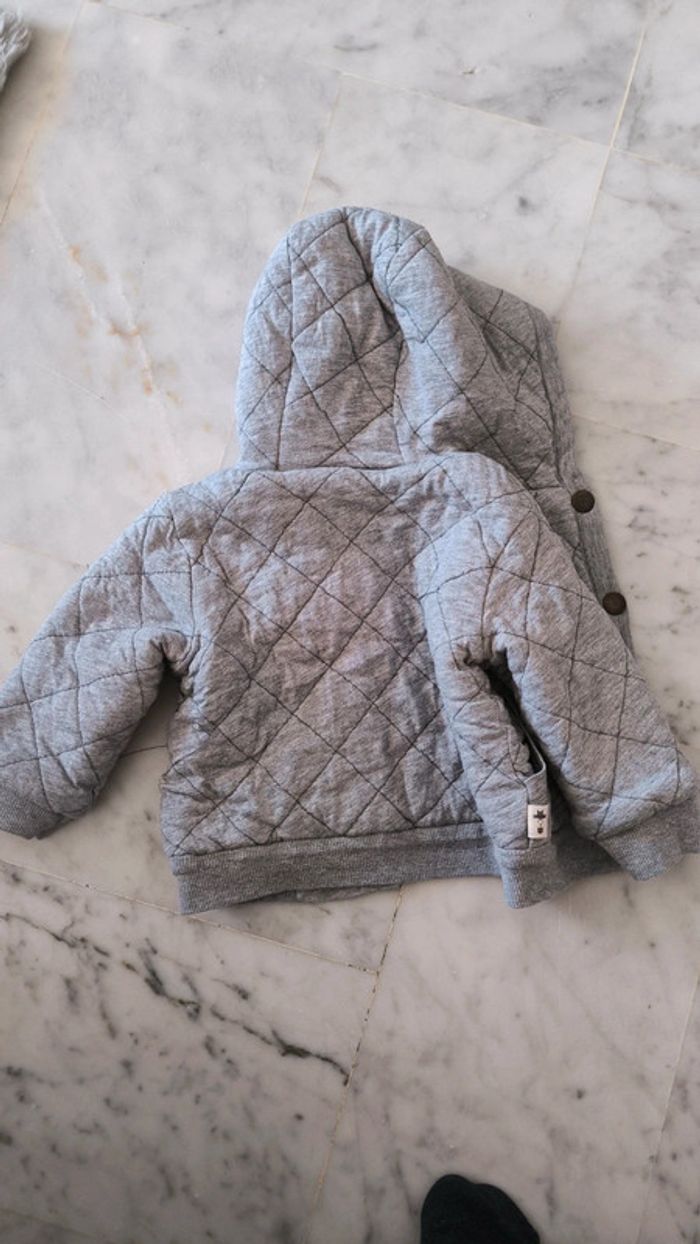 Veste - photo numéro 3