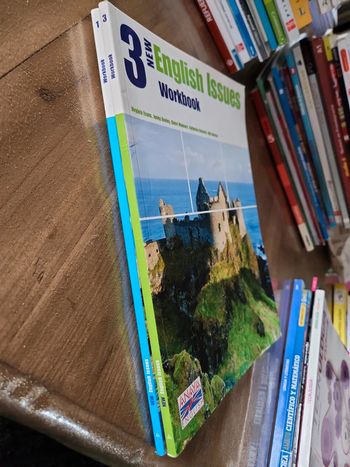 Lot de 2 livres : New English issues