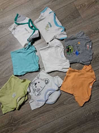 Bodys MC garçon 12 mois