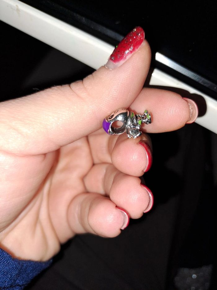 Accessoire - photo numéro 5