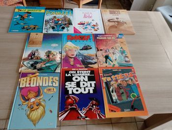  Lot de 10 BD divers (11)