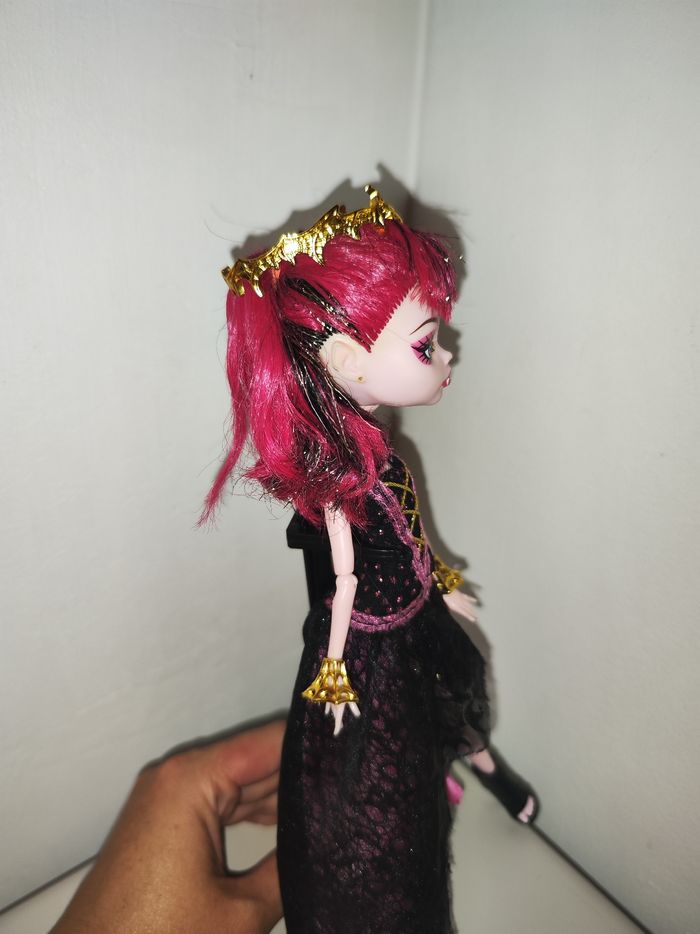 Monster high Draculaura 13 wishes - photo numéro 5