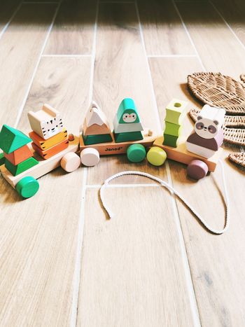 🌲Train La balade des animaux de la forêt à blocs/formes à empiler en bois marque Janod