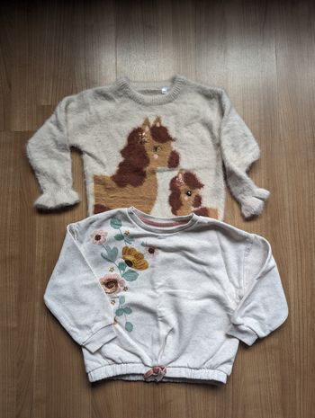 Lots de deux pulls 110