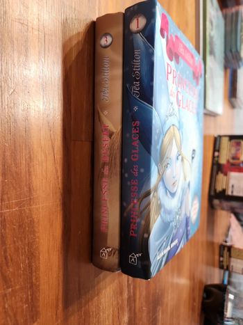 Lot de 2 livres enfants : Princesse des glaces