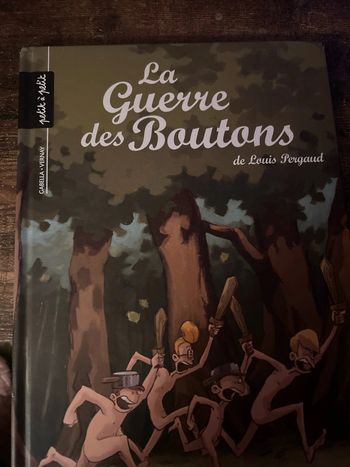 la guerre des boutons