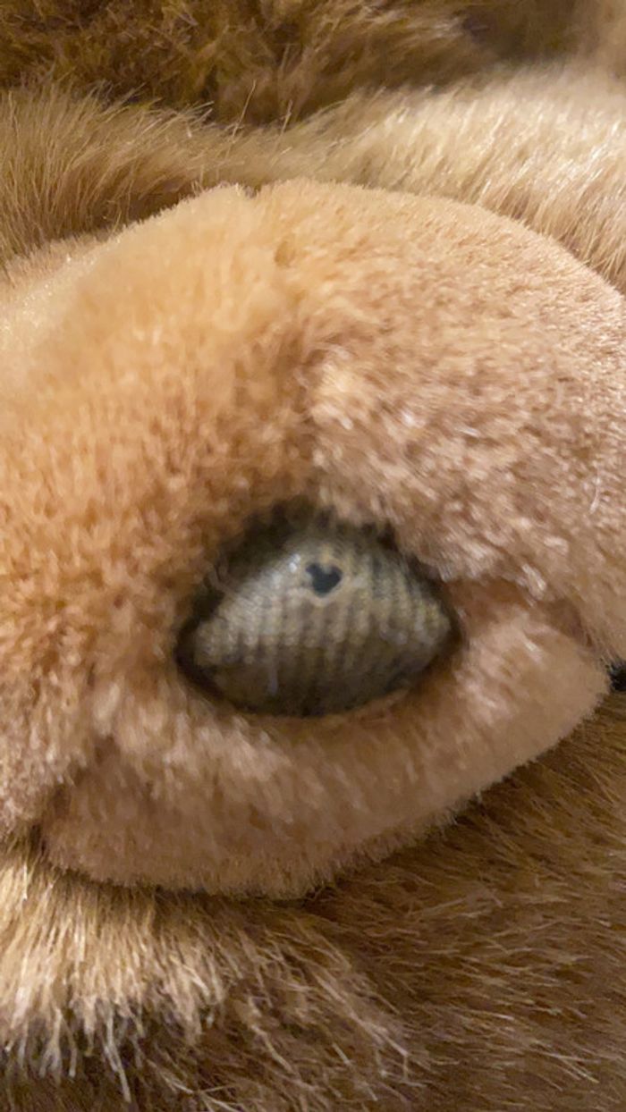 Peluche Ours - photo numéro 5