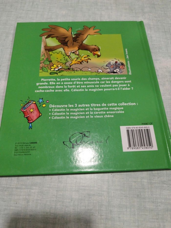 Livre enfants - photo numéro 2