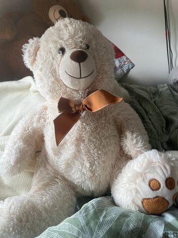 Nounours en peluche