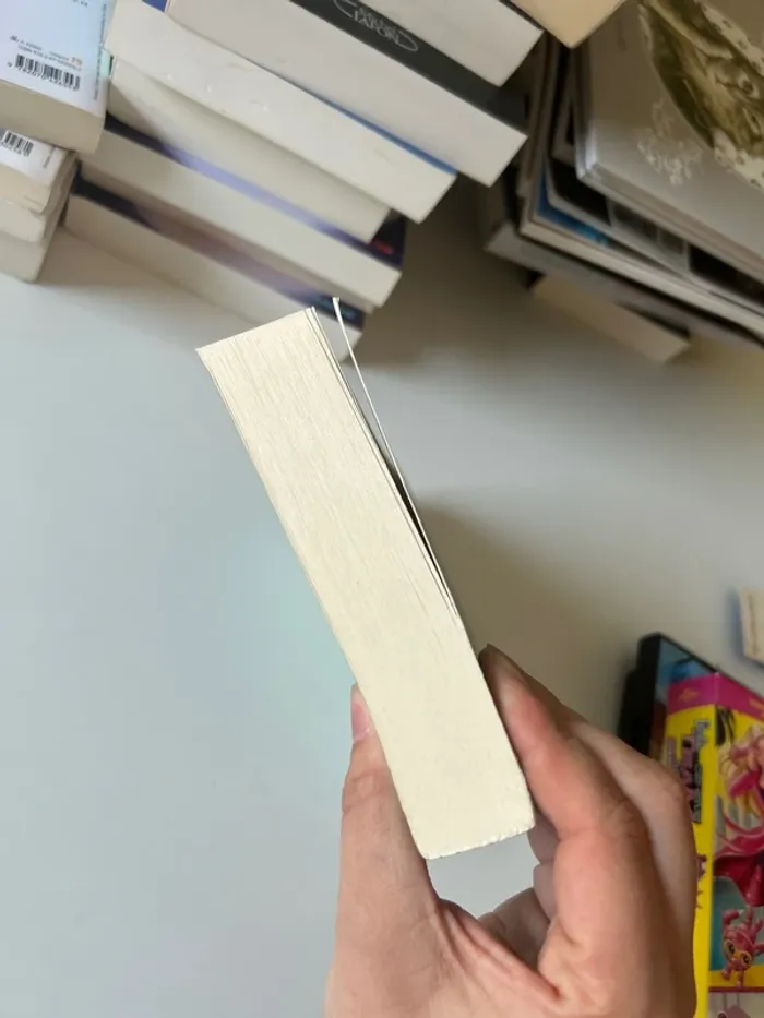 Le mystère des livres disparus - photo numéro 4