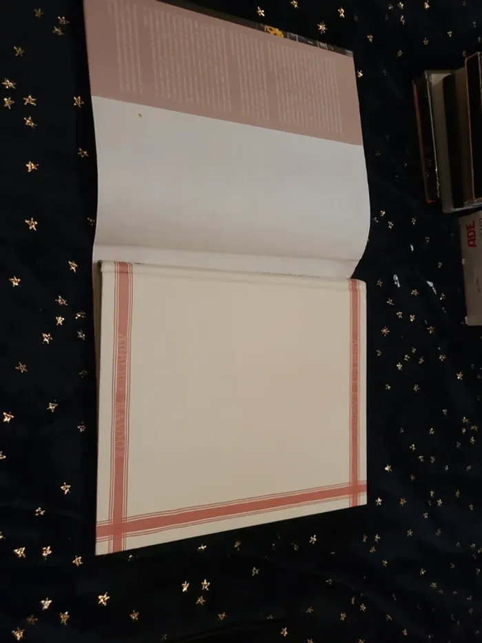 Livre Van Gogh à l'Auberge Ravoux - photo numéro 13