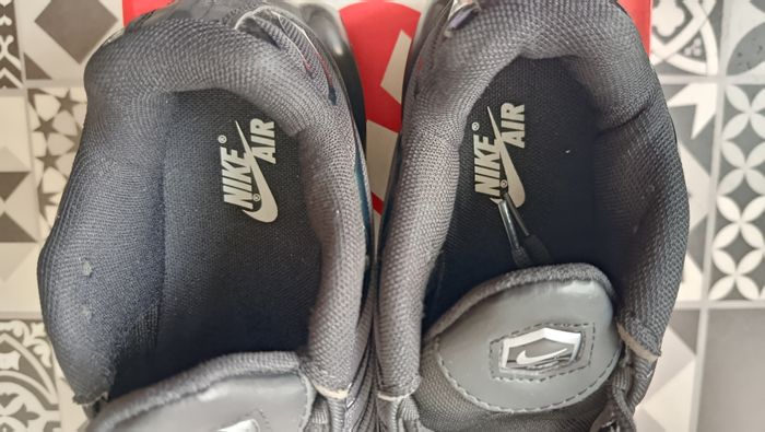 TN noire - photo numéro 6