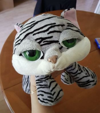 Peluche chat