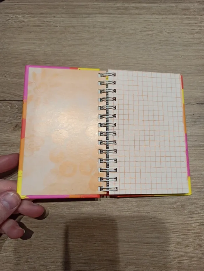 Carnet Diddl n°5 5,00€ - photo numéro 2