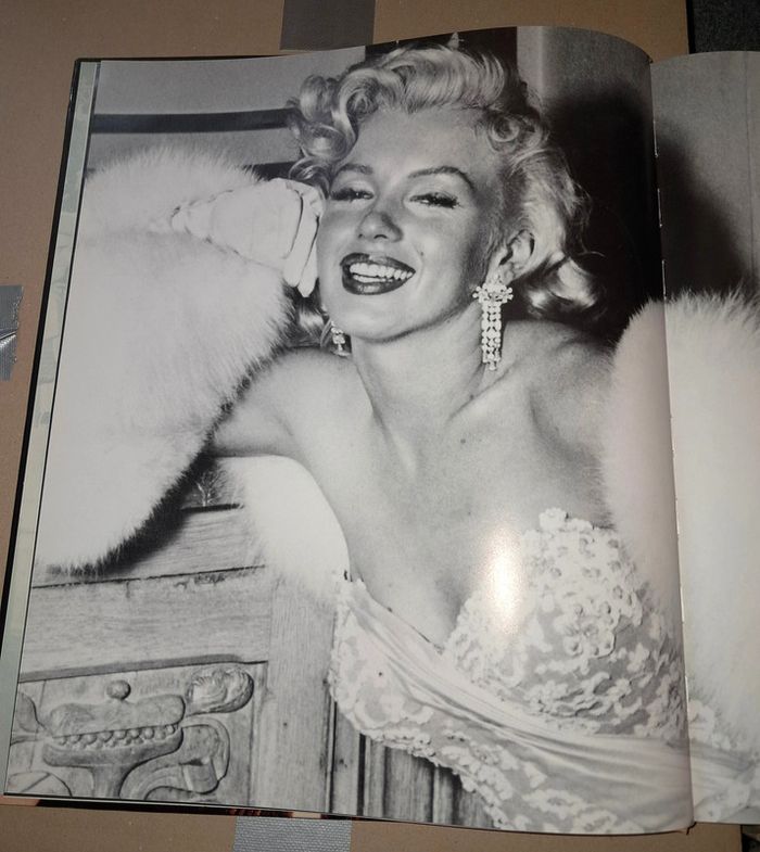 Marilyn - photo numéro 4