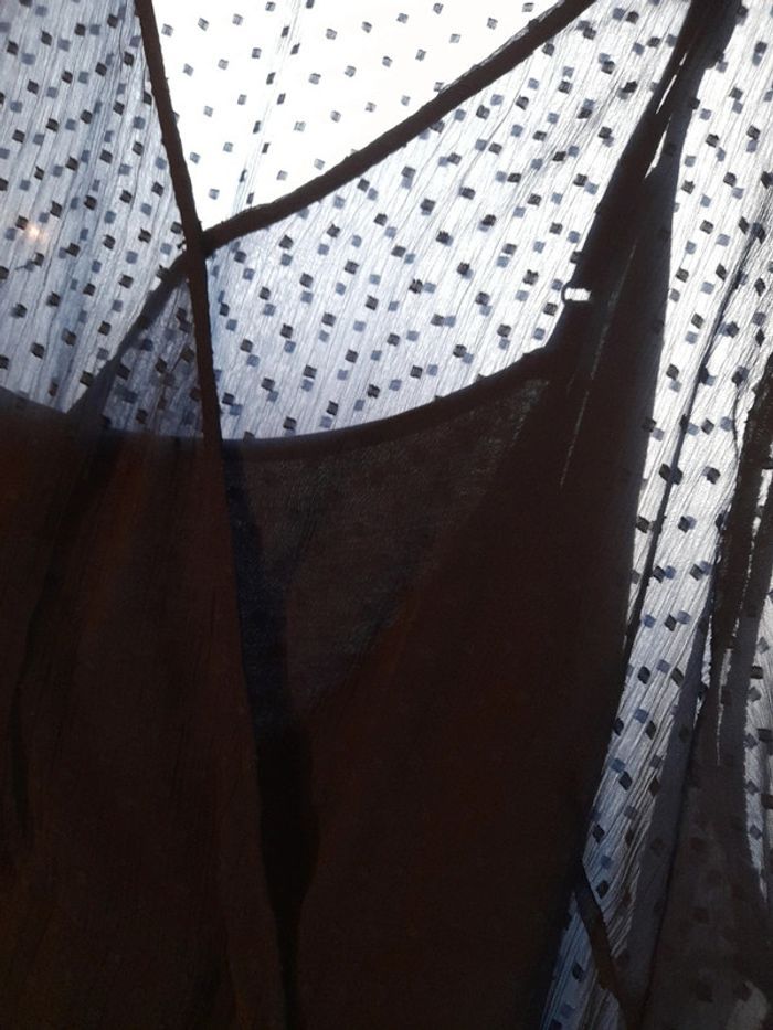 Roble voile bleue - photo numéro 2