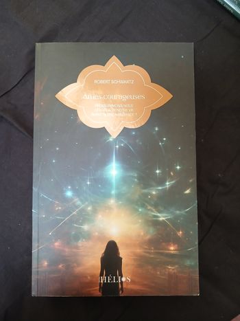 Livre Âmes courageuses Robert Schwartz