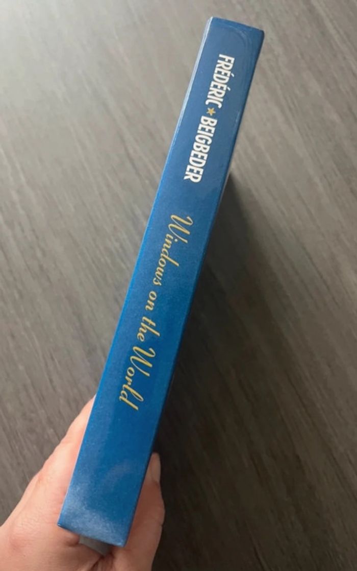 Roman Windows on the world Beigbeder - photo numéro 2