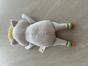 Raton laveur Bébé à bord badabulle