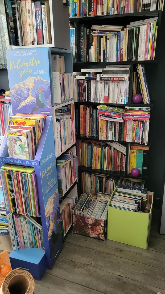 Livres jeunesses je vide les etageres bébé et jeunesses pour avoir de la place, à vos recherches - photo numéro 7