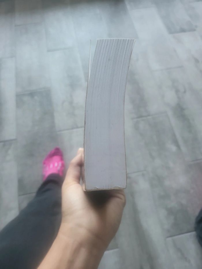 Livre la première leçon du sorcier l épée de vérité  tome 1 - photo numéro 6