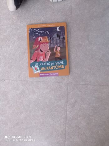 Le jours ou j'ai sauvé un fantôme
