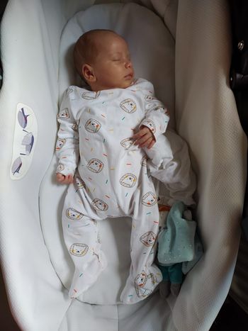 nacelle trio love avec chassis