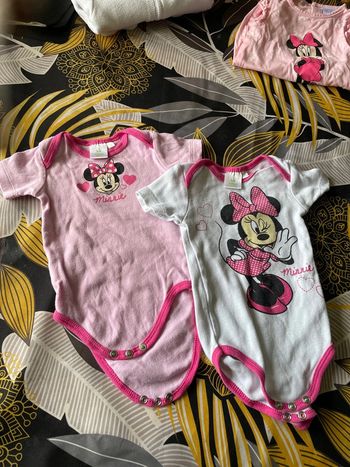 Lot bodys fille 3-6 mois manches courtes