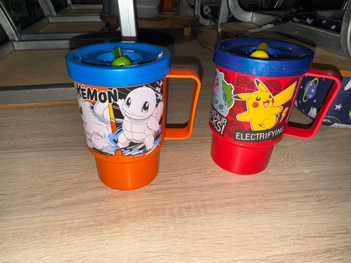 Lot de 2 gourdes Pokémon