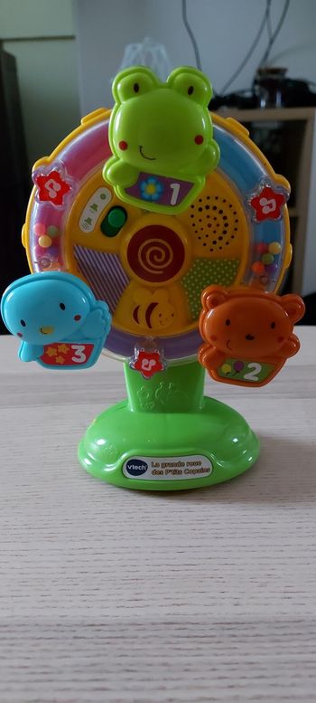 La grande roue des petits copains