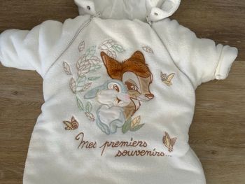 Nid d’ange Disneyland Paris