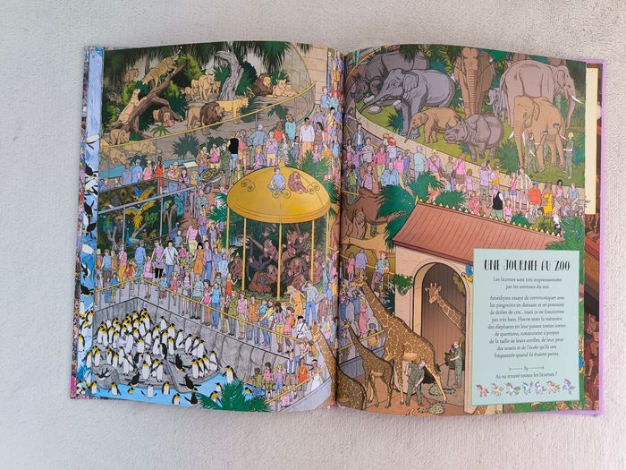Livre Où sont cachés les licornes ? - photo numéro 5