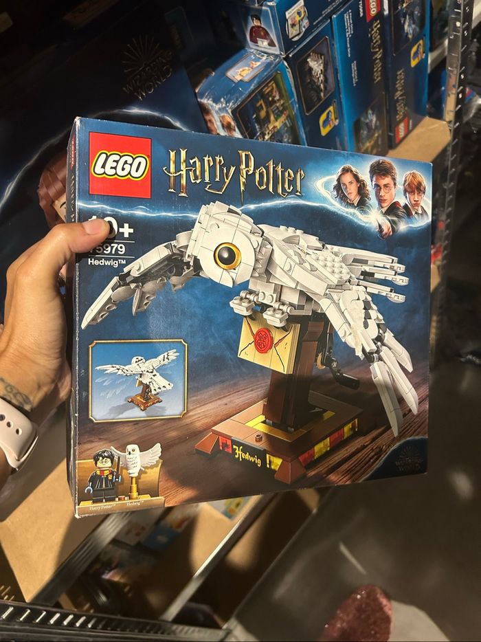 75979 LEGO Harry Potter - photo numéro 6