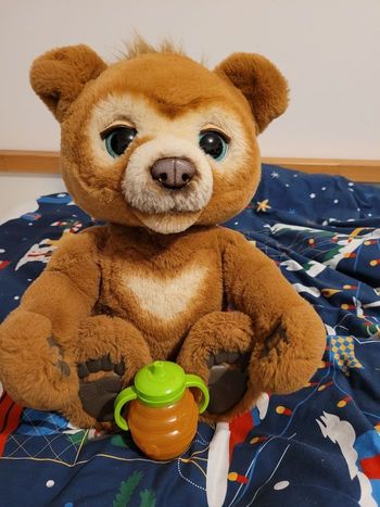 ours interactif cubby