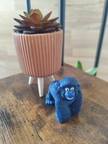 Tonies Miguel des as de la jungle 