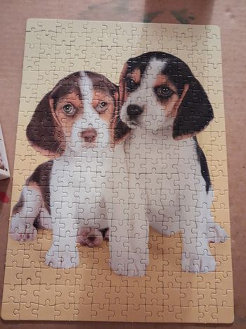 Puzzle 250 pièces 