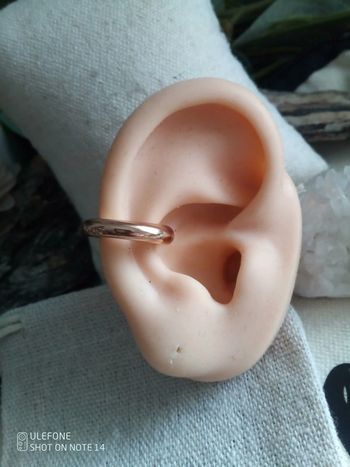 Boucles d'oreilles cartilage