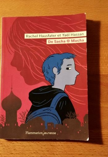 Livre enfant De Sacha à Macha