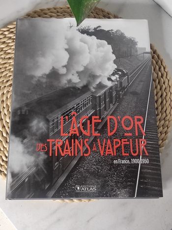 Livre l'âge d'or des trains à vapeur